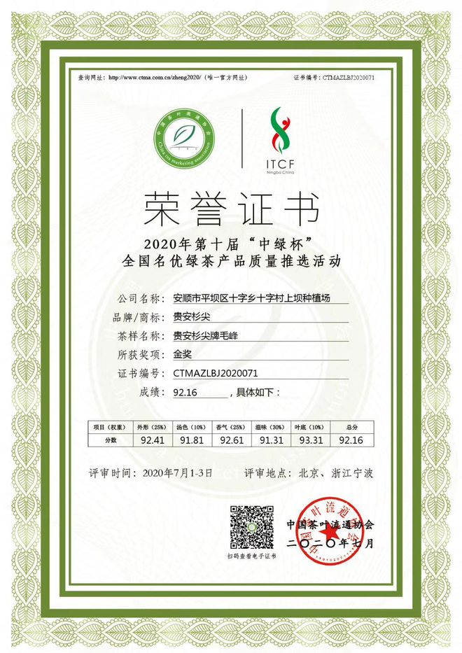 2024明前茶6位大师监制春之味尽收杯中(图36)