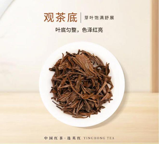 PG电子网站“茶中贵族”vs“茶中茅台”谁更有实力？爱茶的人喝完都真香了……(图18)