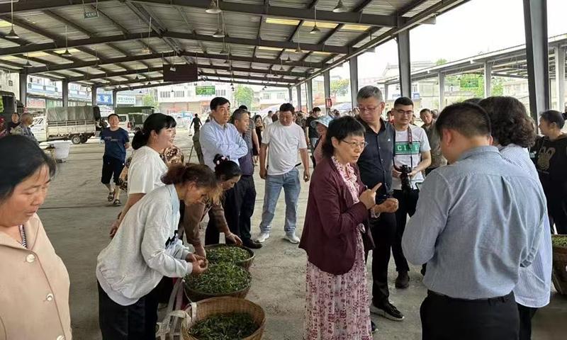 雅安市名山区召开蒙顶山茶科普座谈会讨论审议“2024年蒙顶山茶十大科普大事”(图3)