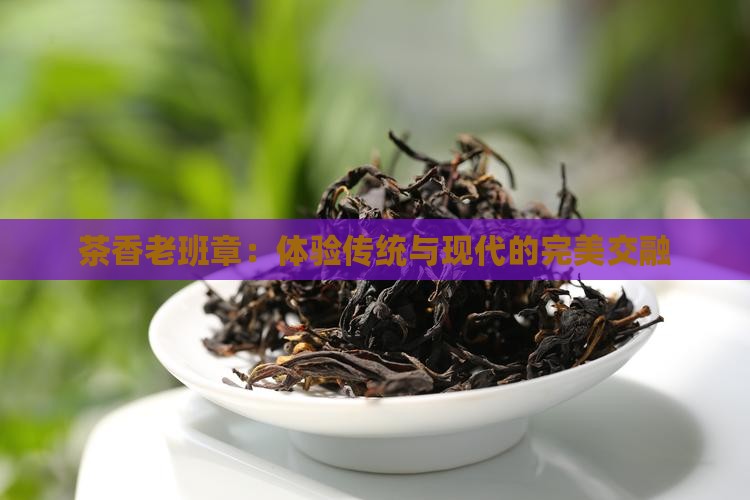 茶香老班章：体验传统与现代的完美交融(图1)