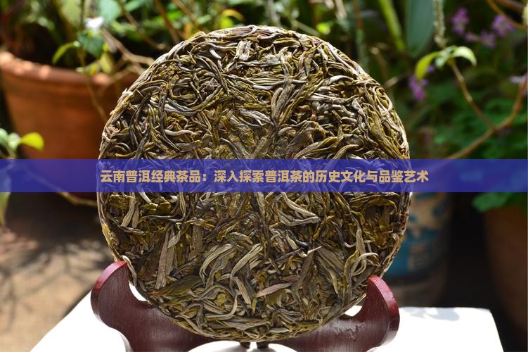 PG电子平台普洱茶养生(图3)