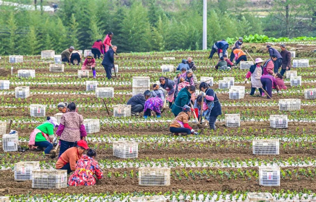 从10到20酉阳800这一年……(图4)
