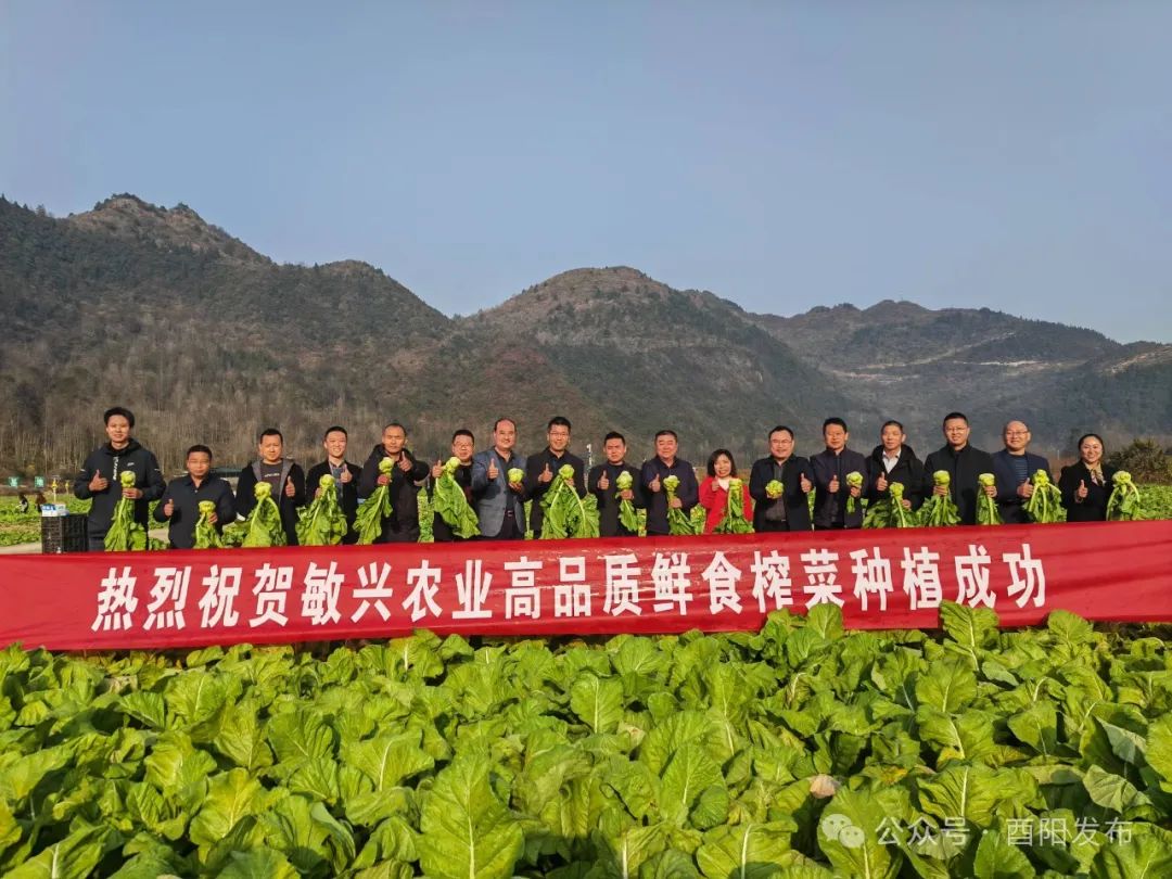从10到20酉阳800这一年……(图6)