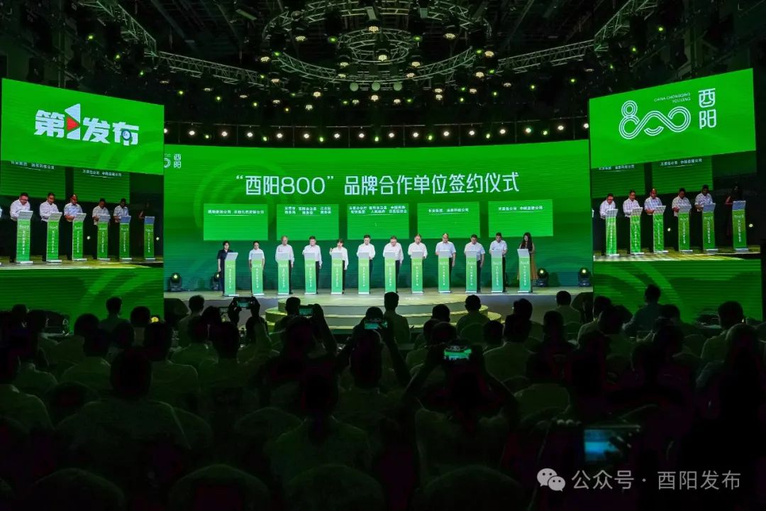 从10到20酉阳800这一年……(图8)