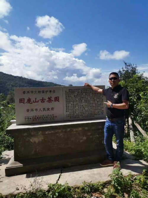 PG电子平台老树奇谭年份茶：岁月沉淀的云南瑰宝(图8)
