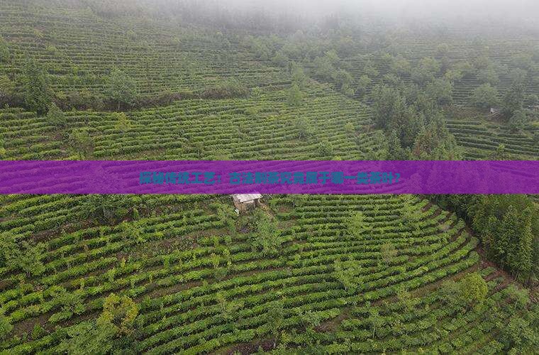 PG平台探秘传统工艺：古法制茶究竟属于哪一类茶叶？(图2)