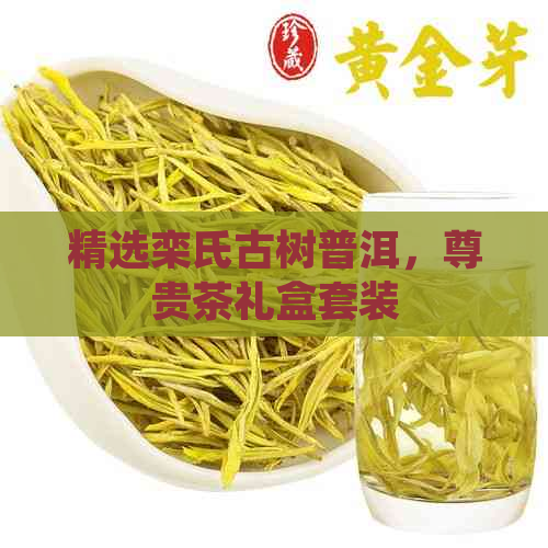 精选栾氏古树普洱尊贵茶礼盒套装(图1)
