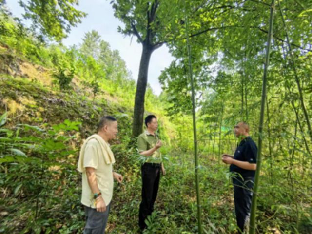 踏实做人勤奋制茶——巴蜀茶痴何长明茶缘情深(图2)