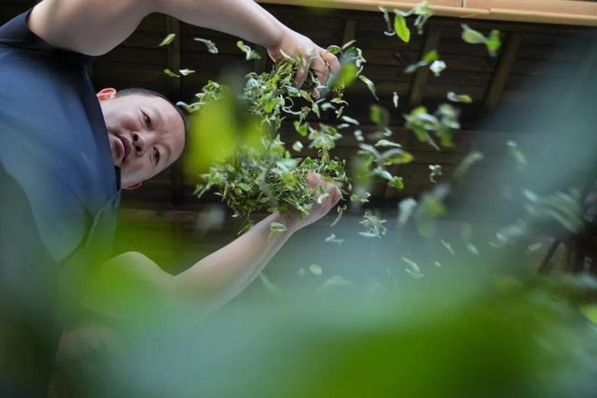 PG电子网站建始县委副书记、县长李永太:换个赛道做茶(图3)