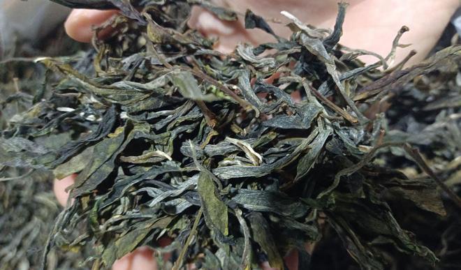 PG电子平台做货真价实的山头茶：直播带货带了个一败涂地！(图11)