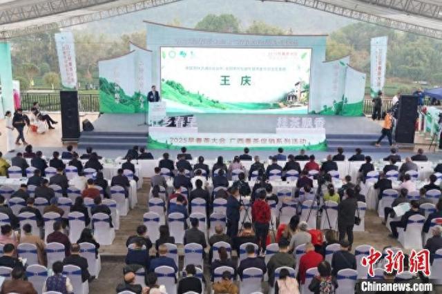 2025早春茶大会在广西昭平县举办签约项目金额约37亿元(图1)
