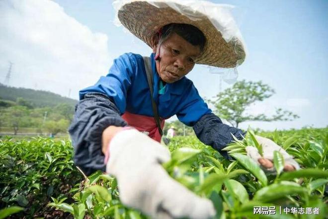 想要直播间卖春茶爆单？deepseek这样说(图3)