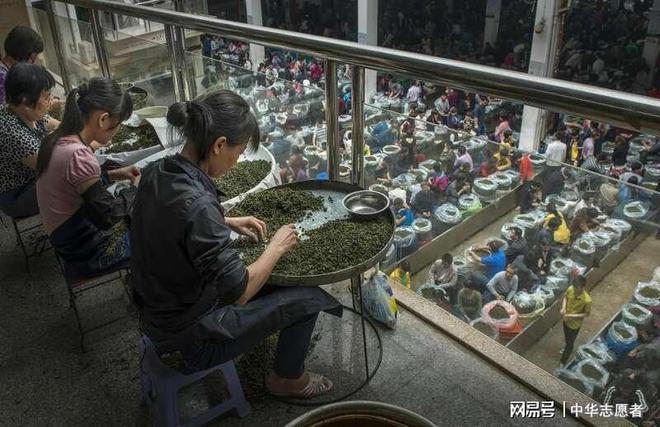 想要直播间卖春茶爆单？deepseek这样说(图5)