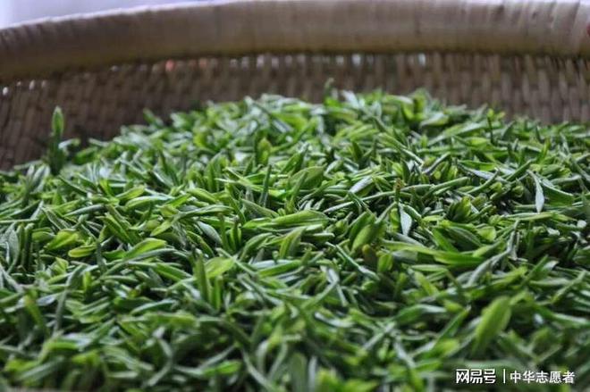 想要直播间卖春茶爆单？deepseek这样说(图4)
