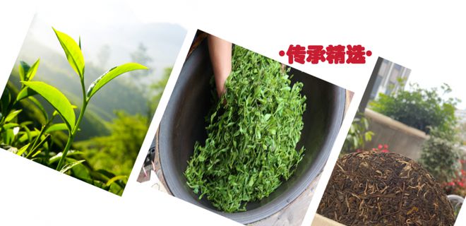 茶礼传情沐春风忆华唐(图3)