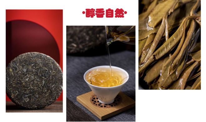 茶礼传情沐春风忆华唐(图5)