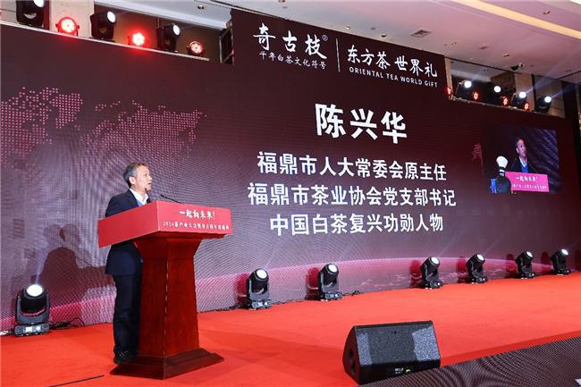 “一起向未来”2024茶产业大会在山东济南隆重举办(图7)