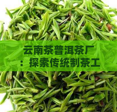 云南茶普洱茶厂：探索传统制茶工艺(图1)