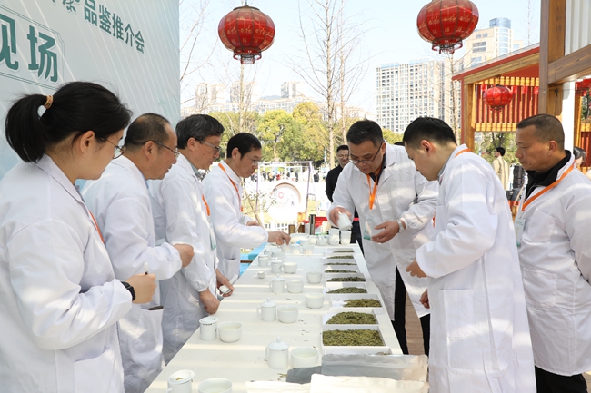 霞浦开茶咯！(图3)