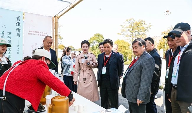 霞浦开茶咯！(图6)