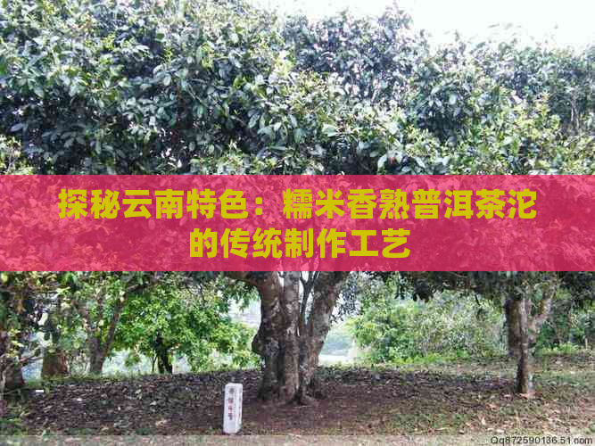 探秘云南特色：糯米香熟普洱茶沱的传统制作工艺(图1)