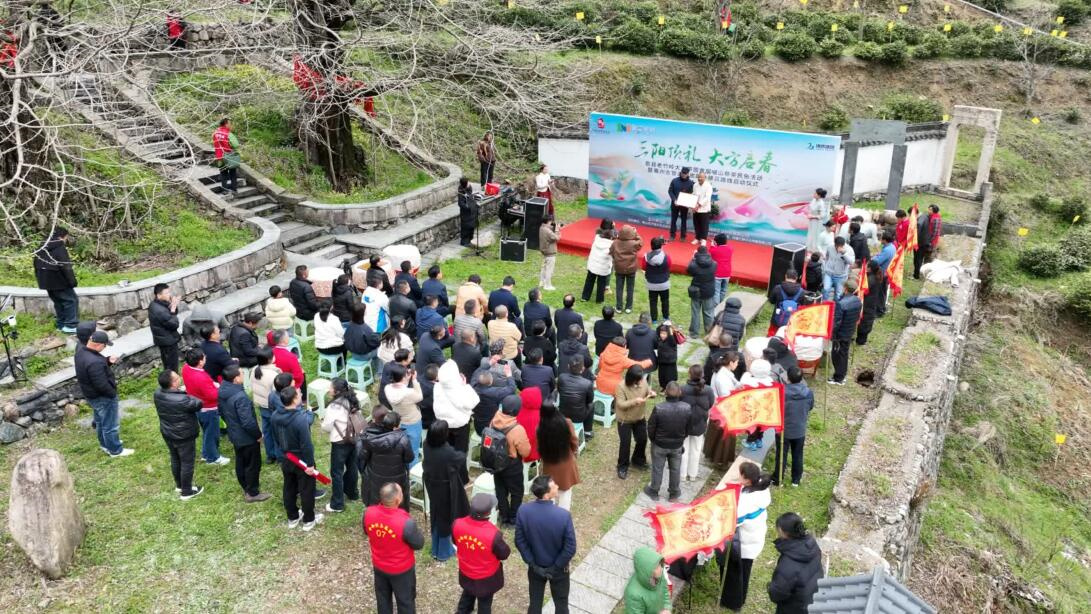 PG电子平台歙县：大方茶开园采摘农文旅融合绘新景(图1)