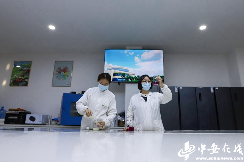中安观察在黄山看传统茶产业如何“老树”发“新芽”？(图5)