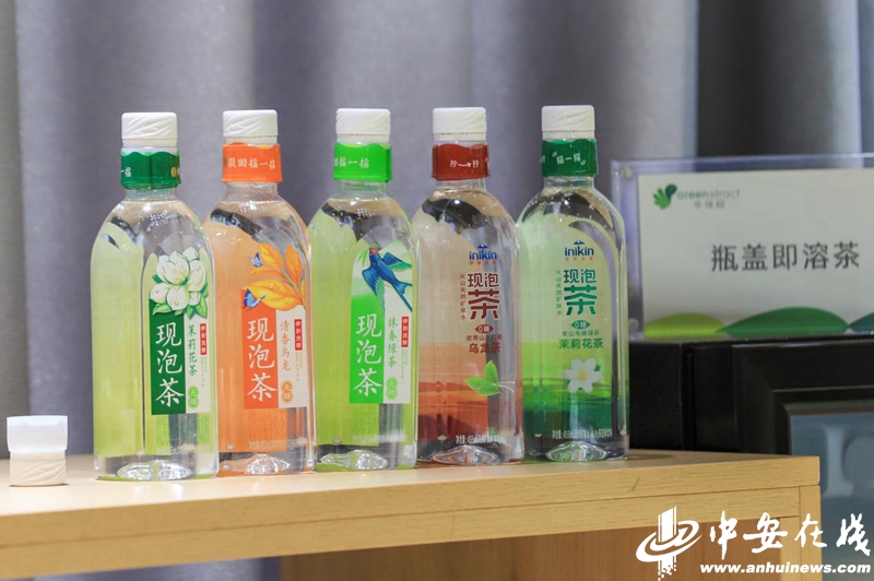 中安观察在黄山看传统茶产业如何“老树”发“新芽”？(图4)