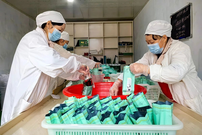 镇宁：以茶兴业以茶富民(图3)