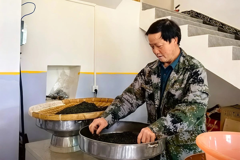 镇宁：以茶兴业以茶富民(图5)
