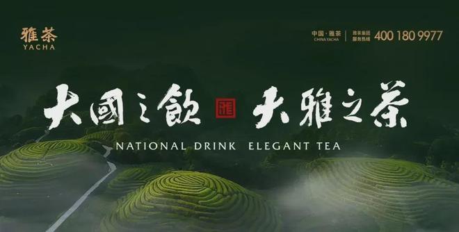 2024世界与中国红茶产销情况解析（一）(图11)