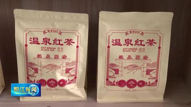 阳东致力打造“温泉红茶”品牌让老茶树焕发新活力(图2)