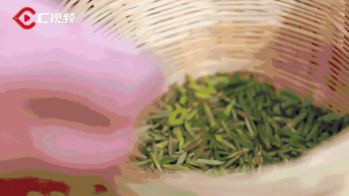 拍可赢万元大奖！等你的镜头共创雅韵“茶+”(图3)