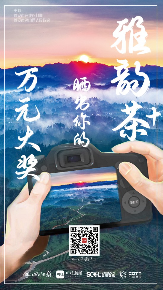 拍可赢万元大奖！等你的镜头共创雅韵“茶+”(图5)