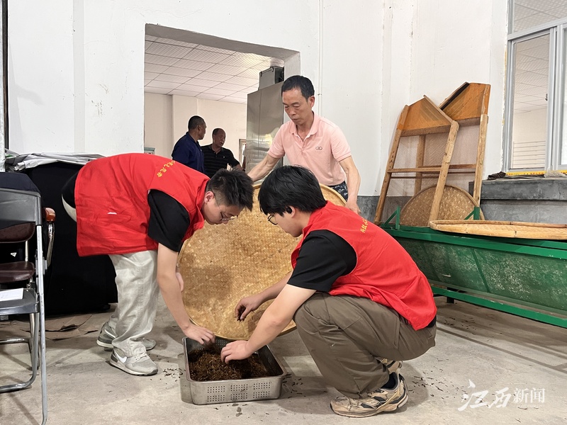 PG电子平台一片“金叶子”背后的江西茶业振兴密码(图3)