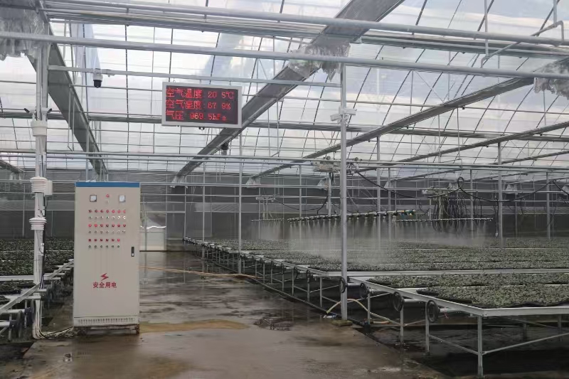 PG平台陕西商南：智能加持焕新韵茶香满溢“科技味”(图4)