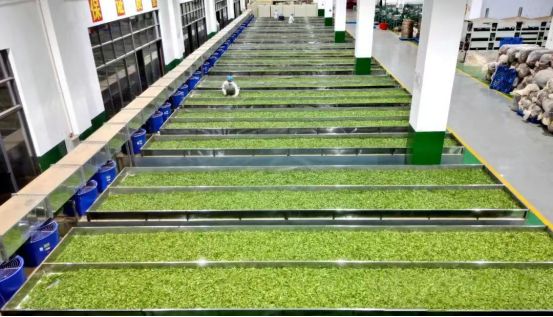 “墨香茶韵文润三江”——岁月沉淀的茶乡传奇！(图2)