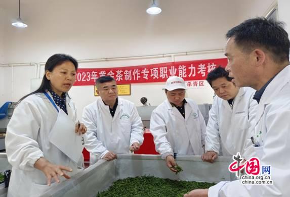 黄金茶制作入选全国精品专项职业能力考核项目(图2)