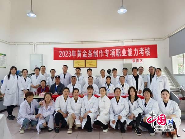 黄金茶制作入选全国精品专项职业能力考核项目(图3)