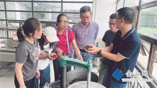 PG电子网站让地产红茶拥有浓浓“镇江味”(图1)
