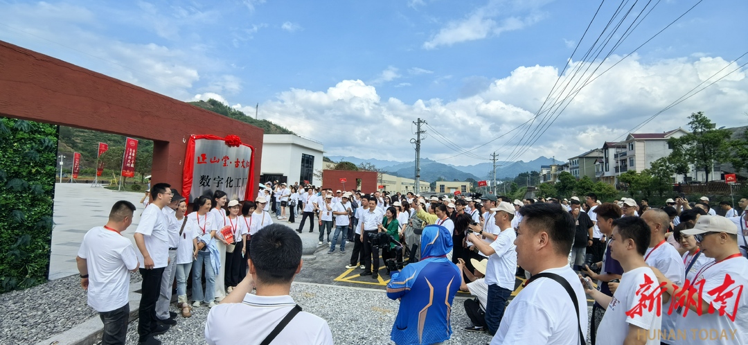 PG电子网站茶乡高朋满座古丈红茶缘何这样“红”(图1)
