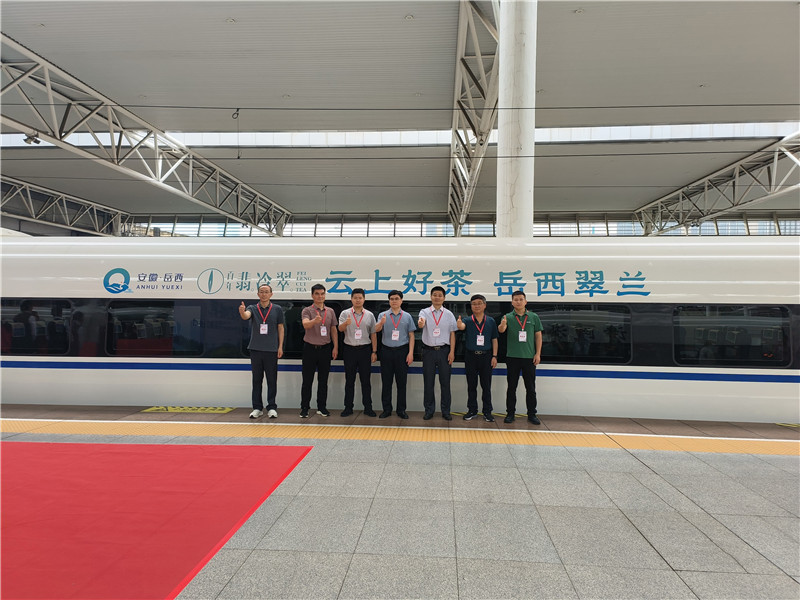 岳西翠兰第三次冠名高铁首发仪式在合肥南站举行(图2)