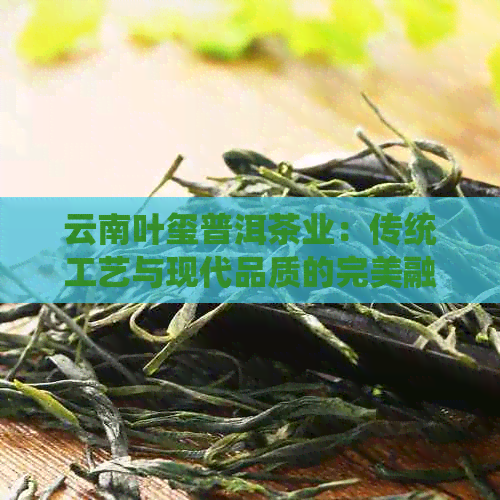云南叶玺普洱茶业：传统工艺与现代品质的完美融合(图1)