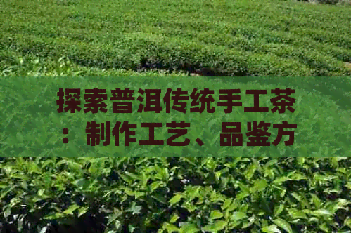 探索普洱传统手工茶：制作工艺、品鉴方法与健康益处全解析(图1)