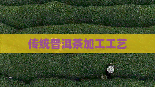 PG平台传统普洱茶加工工艺(图1)