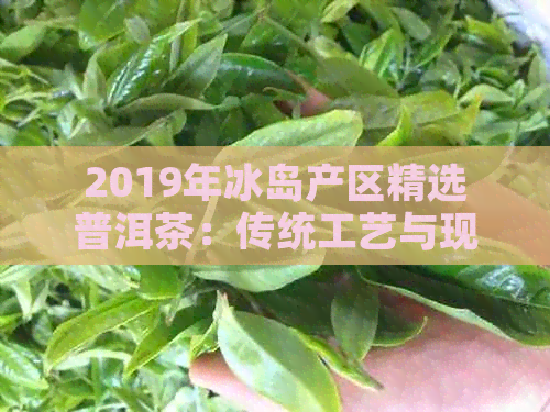 2019年冰岛产区精选普洱茶：传统工艺与现代口感的完美融合(图1)