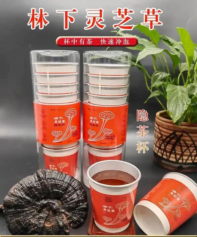 南博会上平远灵芝隐茶杯被授予“首发新品”(图3)