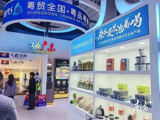 南博会上平远灵芝隐茶杯被授予“首发新品”(图2)