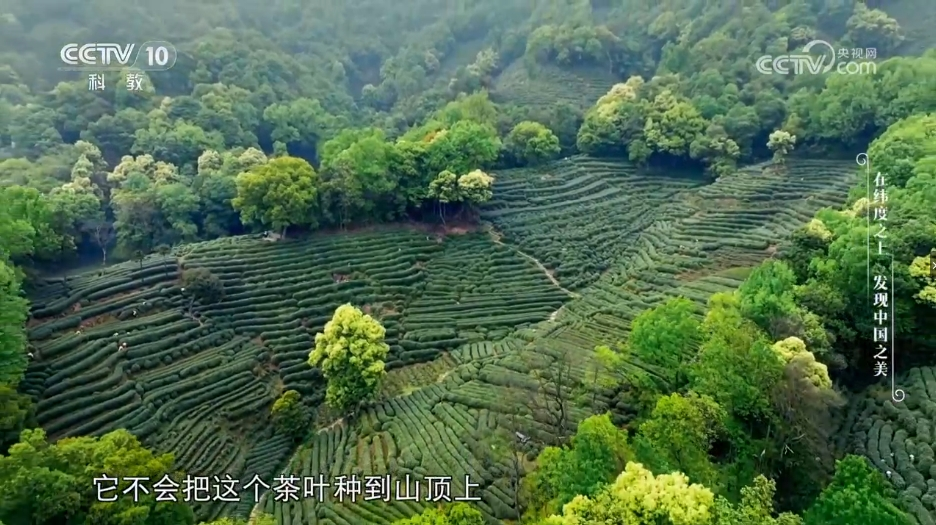 《沿着纬度听中国》第一季：北纬30°上的江南画卷(图5)