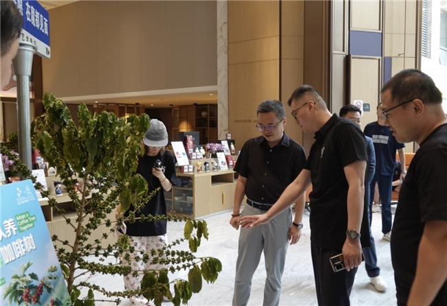 艺龙酒店科技启动云南咖啡推广计划以产业融合谱写乡村振兴新篇章(图7)